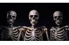 Skeleton Musicians 